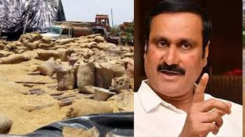 Anbumani accused DMK government, blaming central government to hide its failure in paddy procuremen