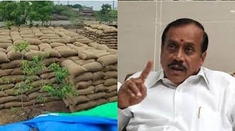 H.Raja questioned why the Tamil Nadu government did not immediately purchase the paddy