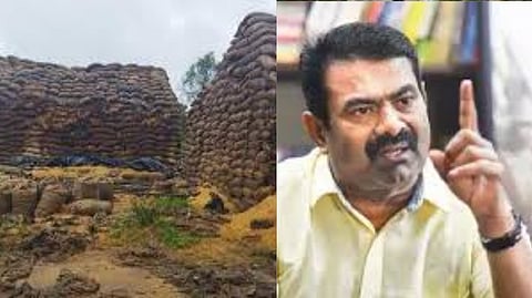 Seeman strongly criticized the DMK govt allowing paddy to spoiled in rain