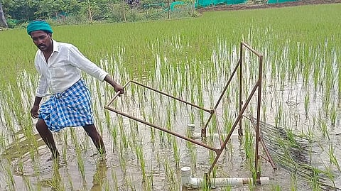 Singampunari Farmers Invented Weeding Machine Tool To Cutting Unnecessary Crops in Paddy Field in Sivagangai District News in Tamil