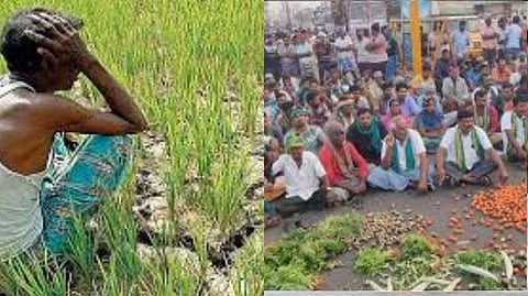 DMK government is betraying the farmers by forgetting the promises made during elections