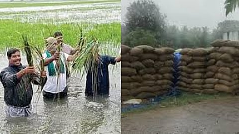 major damage caused by the rains in the Delta districts is not due to nature alone, but caused by the DMK's mismanagement