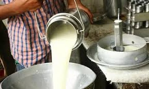 Anbumani angrily questioned whether the Rs. 200 crore incentive has not paid to Aavin milk producers for 4 months, DMK Govt cheat farmers