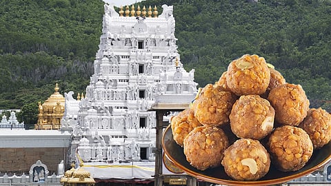 Andhra Pradesh Government Form Investigation Commission For Adulteration Ghee At Tirupati Laddu Issue Update in Tamil