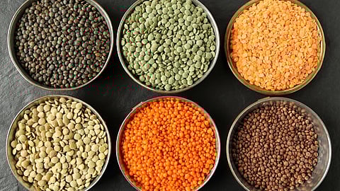 World Pulses Day 2026 Which type of lentils has the most protein? here is the list in Tamil