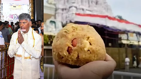 Tirumala Tirupati Laddu Controversy Tirumala Jeeyars Letter to Andhra Pradesh Chief Minister Chandrababu Naidu on Tirumala Tirupati Laddu Issue