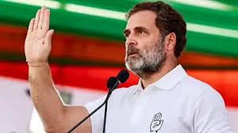 just two weeks to go before Tamil Nadu assembly elections, Rahul Gandhi's absence from campaigning sparked controversy