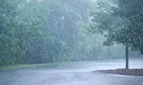 Meteorological Department has predicted a chance of rain in Tamil Nadu amid the effects of the summer heat