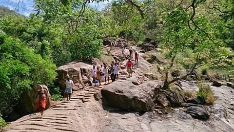 Are you a devotee traveling to Sathuragiri via Theni? Make sure you know the Forest Department's safety guidelines!