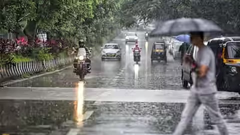 Rain Likely in Several Parts of Tamil Nadu, Says Chennai Meteorological Centre.