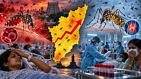 While dengue fever is spreading rapidly in Tamil Nadu, tick fever is also on the rise