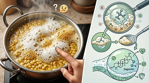 Is Foam While Boiling Pulses Unhealthy: Scientific Truth Revealed