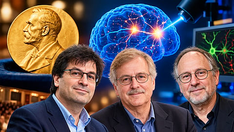 Scientists Who Used Light to Unlock the Brain Win 2026 Nobel Prize