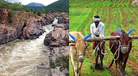 Cauvery Water Inflow Hits 14-Year Low; Delta Paddy Cultivation Takes a Major Hit