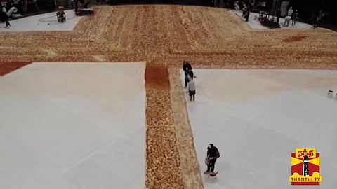 "6000 கிலோ மாவு,4000 கிலோ சீஸ்.." மாஸாக தயாராகும் 'மெகா'பீட்சா பீட்சா பிரியர்களே நோட் பண்ணுங்கப்பா..!