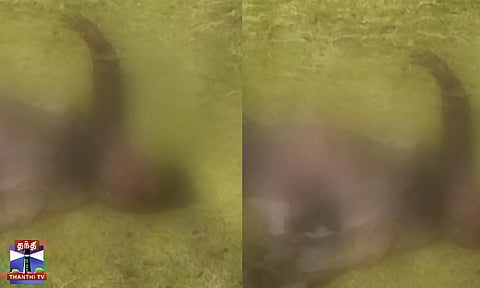 ஆட்சியர் அலுவலகத்தில் தீக்குளித்து தற்கொலைக்கு முயன்ற நபர் - பரபரப்பு