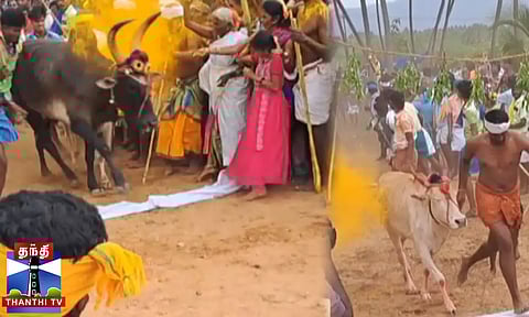 திருவிழாவில் புழுதி பறக்க நடந்த 'மாலை தாண்டும் நிகழ்ச்சி'