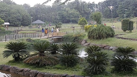 Gardens will be reopened from Sunday in the city