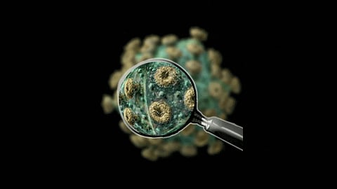 Studies claim COVID-19 on surfaces could be killed with plasma treatment