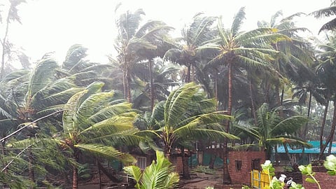 Cyclone Nivar may hit Tamil Nadu on November 25
