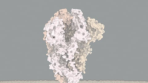 COVID-19 mutant strain might have travelled to India through UK based tourists