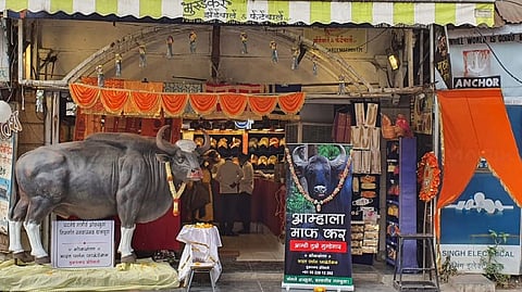 Pune: Replica of dead bison put up with an apology