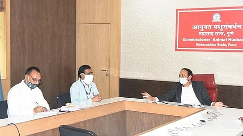 Sachindra Pratap Singh, Animal Husbandry Commissioner held a meeting in Pune to discuss the bird flu outbreak with offcials