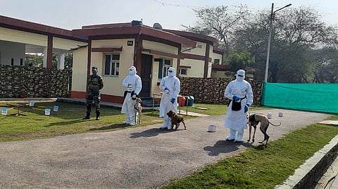 Army canines can detect COVID virus in real time situation