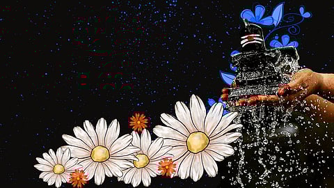 Representational Image