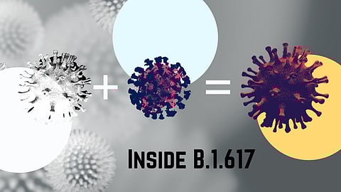 B.1.617 is one of the variants of SARS-CoV-2 that causes COVID-19.