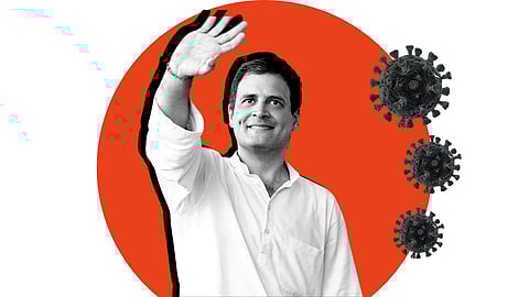 Congress Leader Rahul Gandhi