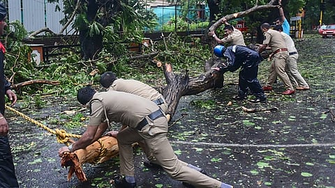 Police personnel clear fallen trees from a road following severe cyclone Tauktae, at Panjim in Goa