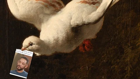 Comparing the evolution of communication from pigeon post to memes