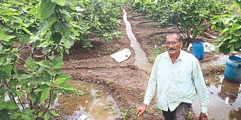 Drought to Abundance: Sonori Village's Water Conservation Success