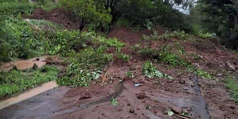 Bhimashankar Road, Shirgaon