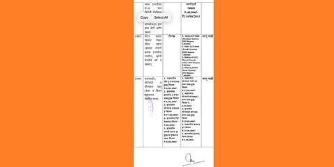 Portion of a document revealing Khedkar's property and wealth