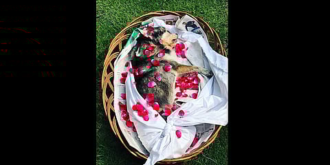 Image for representational purpose