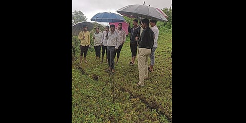 Large crack formed near Lohgad village