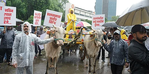 Former Corporator Amol Balwadkar led the protest with a bullock cart and drums, making their voices heard in the rain.