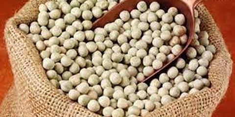 Dried Peas Prices Skyrocket Amid Supply Shortage and Weather Woes