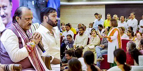 Stray Dog Menace in Wadgaon Sheri, Viman Nagar: Ajit Pawar Dials PMC Commissioner for Immediate Action