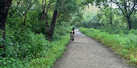 Taljai Hill