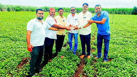 Progressive farmer Balasaheb Karpe