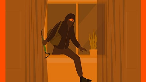 Thief Strikes Home