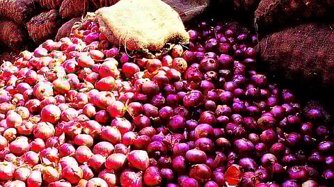Onion