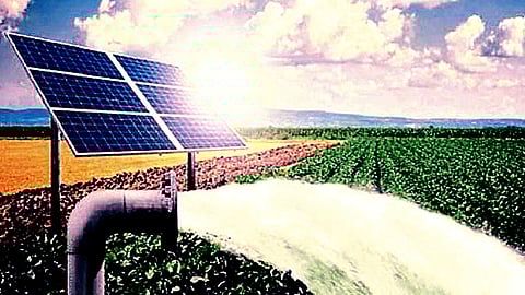 Solar Agricultural Pump