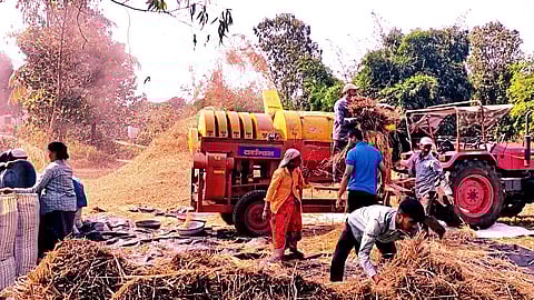 Farmers Turn to Mechanization