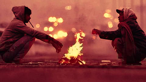 Weather Update: Maharashtra Braces For Cold Wave; Pune Records Season's Coldest Morning on Sunday