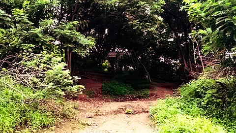 Ghorawadeshwar Hills