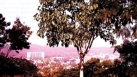 View from Hanuman Tekdi